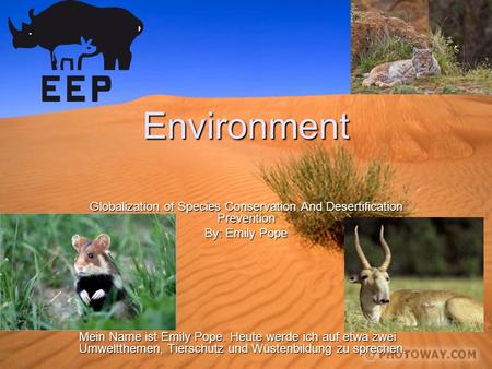 Environment Globalization of Species Conservation And Desertification Prevention By: Emily Pope Mein Name ist Emily Pope. Heute werde ich auf etwa zwei.