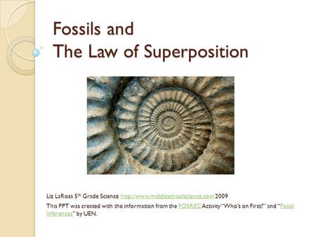 Fossils and The Law of Superposition