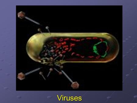 Viruses.