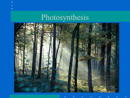 Photosynthesis.