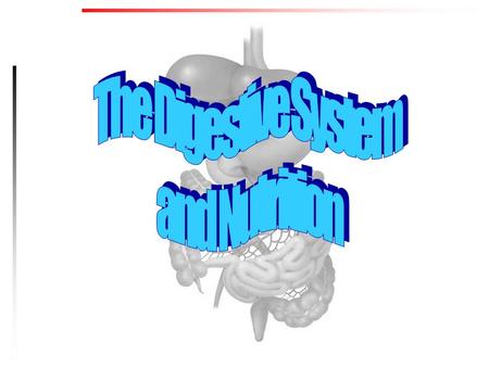 The Digestive System and Nutrition.