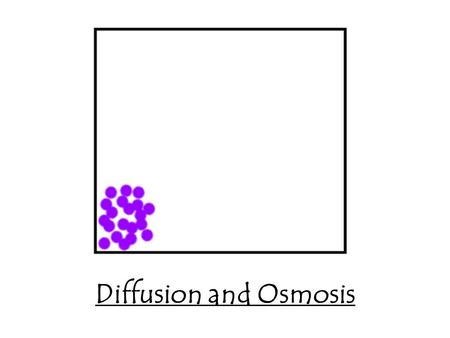 Diffusion and Osmosis.