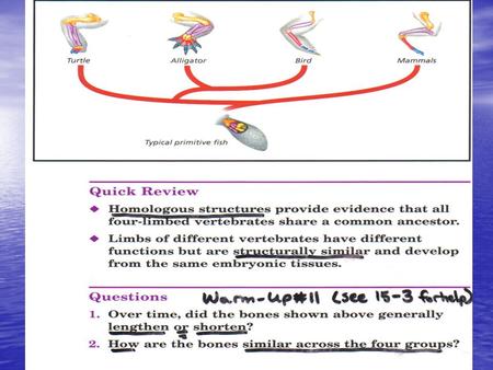 EVOLUTION & SPECIATION