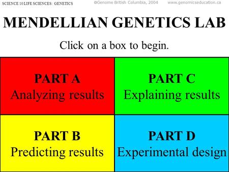 MENDELLIAN GENETICS LAB Click on a box to begin. SCIENCE 10 LIFE SCIENCES: GENETICS PART A Analyzing results PART B Predicting results PART C Explaining.