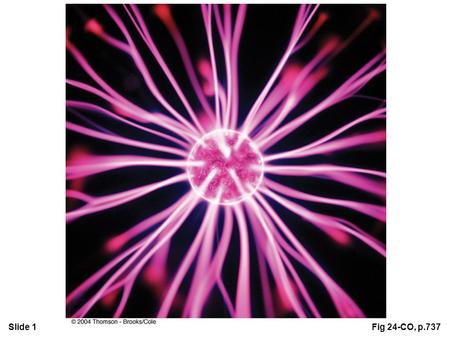 Slide 1Fig 24-CO, p.737. Slide 2Fig 24-1, p.740 Slide 3Fig 24-2, p.741.