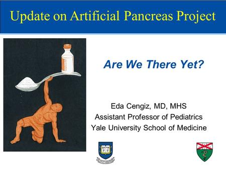 Update on Artificial Pancreas Project