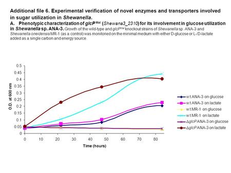 0 0.05 0.1 0.15 0.2 0.25 0.3 0.35 0.4 0.45 0.5 01020304050607080 Time (hours) O.D. at 600 nm w.t.ANA-3 on glucose w.t.ANA-3 on lactate w.t.MR-1 on glucose.