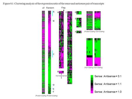 Figure S1: Clustering analysis of the expression ratio of the sense and antisense pair of transcripts A B C D E F A B C D E F dT Random Sense : Antisense.