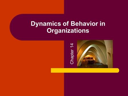 Dynamics of Behavior in Organizations