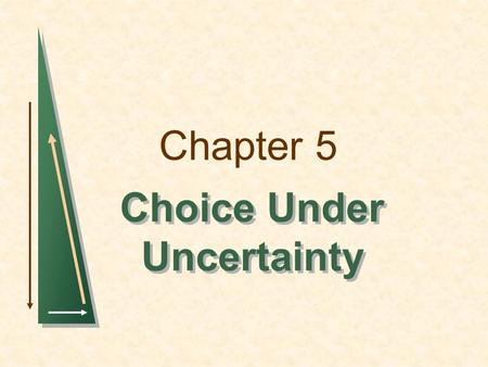 Choice Under Uncertainty