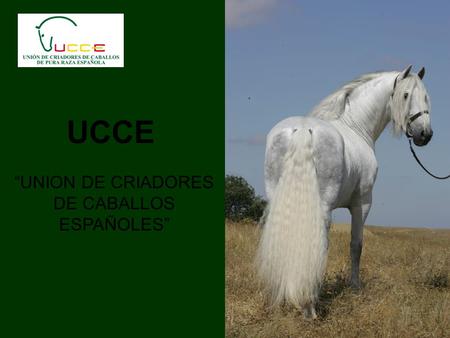 “UNION DE CRIADORES DE CABALLOS ESPAÑOLES”