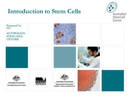 Introduction to Stem Cells