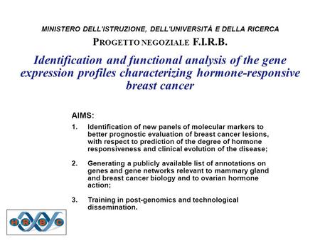 MINISTERO DELL'ISTRUZIONE, DELL'UNIVERSITÀ E DELLA RICERCA P ROGETTO NEGOZIALE F.I.R.B. Identification and functional analysis of the gene expression profiles.