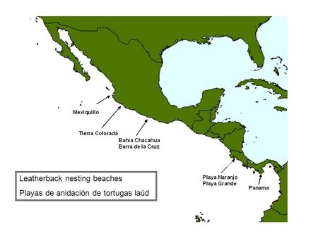 Leatherback nesting beaches Playas de anidación de tortugas laúd.