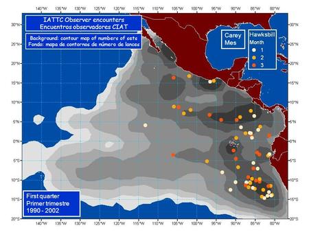 Carey Mes First quarter Primer trimestre 1990 - 2002 IATTC Observer encounters Encuentros observadores CIAT Background: contour map of numbers of sets.