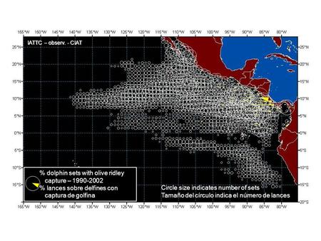 Circle size indicates number of sets Tamaño del círculo indica el número de lances % dolphin sets with olive ridley capture – 1990-2002 % lances sobre.