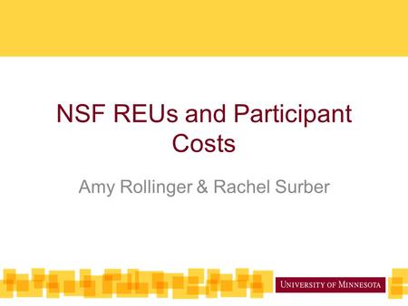 NSF REUs and Participant Costs Amy Rollinger & Rachel Surber.