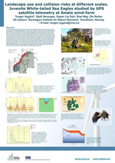 Www.nina.nowww.nina.no www.cedren.nowww.cedren.no Landscape use and collision risks at different scales. Juvenile White-tailed Sea Eagles studied by GPS.