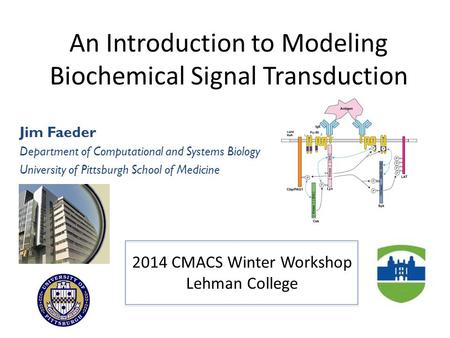 An Introduction to Modeling Biochemical Signal Transduction Jim Faeder Department of Computational and Systems Biology University of Pittsburgh School.