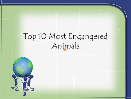 Top 10 Most Endangered Animals