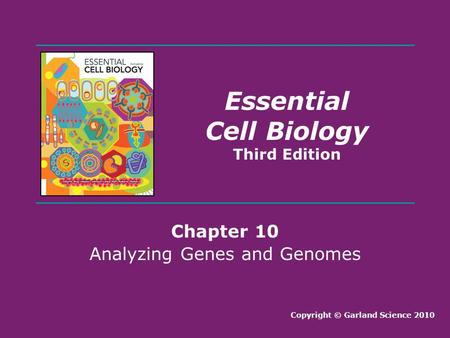 Analyzing Genes and Genomes