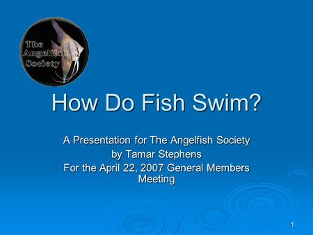 1 How Do Fish Swim? A Presentation for The Angelfish Society by Tamar Stephens For the April 22, 2007 General Members Meeting.