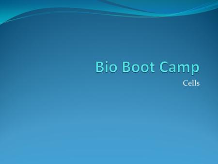 Cells. Sample Question 1 Which of the following is an example of homeostasis found in your body? a. you eat food because it tastes good b. you shiver.