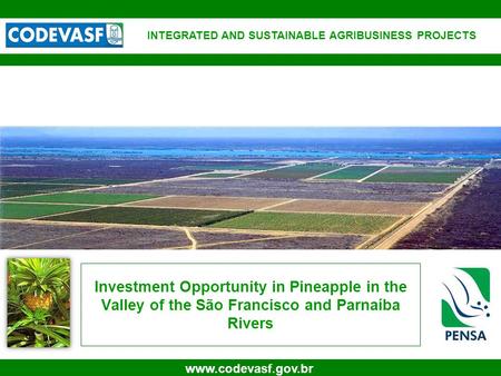 1 www.codevasf.gov.br Investment Opportunity in Pineapple in the Valley of the São Francisco and Parnaíba Rivers INTEGRATED AND SUSTAINABLE AGRIBUSINESS.