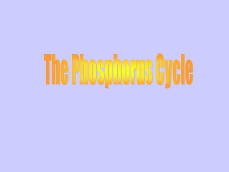 What is PHOSPHORUS? Second most abundant mineral in the body DNA molecules Nucleic acids “ATP” and “ADP” Fats/Phospholipids Bones, teeth and shells.