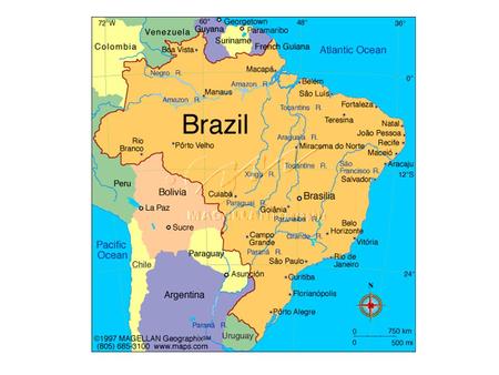 Amazon Rainforest – 1.7 billion acres (1/2 size of USA) – 40,000 kinds of plants – 2000 kinds of birds and mammals – 2.5 million kinds of bugs Amazon.