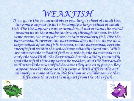 WEAKFISH If we go to the ocean and observe a large school of small fish, they may appear to us to be simply a large school of small fish. The fish appear.