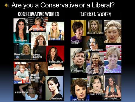 Are you a Conservative or a Liberal? If a conservative does not like guns, he does not buy one. If a liberal does not like guns, then no one should.