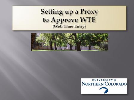 PURPOSE: Setting up a proxy is highly recommended for all Web Time Entry Approvers. Whenever you are out of the office and Time needs to be approved your.