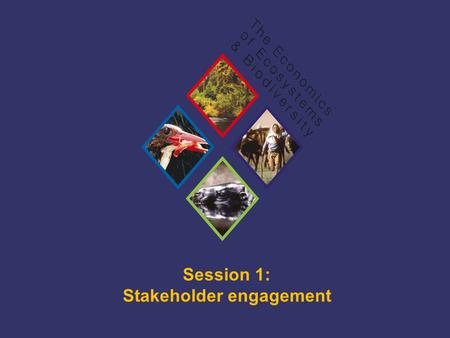 TEEB Training Session 1: Stakeholder engagement. TEEB Training Stakeholder Engagement; An introduction What is stakeholder engagement?  Series of activities.