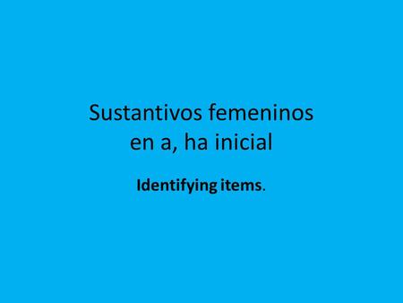 Sustantivos femeninos en a, ha inicial Identifying items.