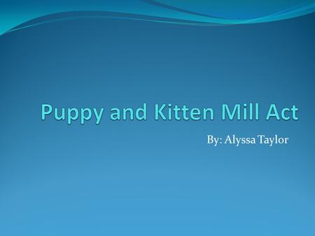 Puppy and Kitten Mill Act