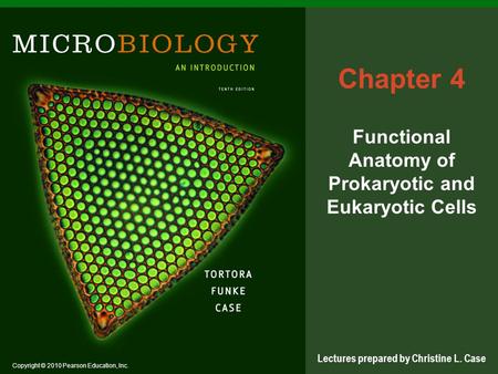 Functional Anatomy of Prokaryotic and Eukaryotic Cells