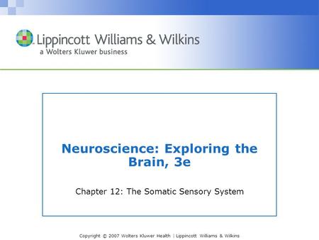 Copyright © 2007 Wolters Kluwer Health | Lippincott Williams & Wilkins Neuroscience: Exploring the Brain, 3e Chapter 12: The Somatic Sensory System.