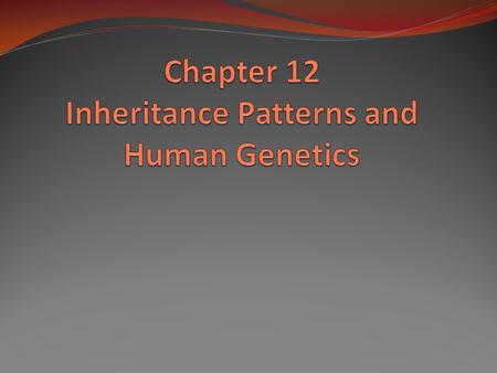 Chapter 12 Inheritance Patterns and Human Genetics