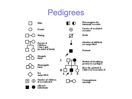 Pedigrees.