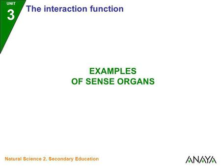 EXAMPLES OF SENSE ORGANS