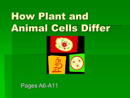 How Plant and Animal Cells Differ