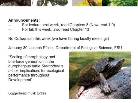 Announcements: --For lecture next week, read Chapters 8 (Now read 1-9) --For lab this week, also read Chapter 13 No Colloquium this week (we have boring.