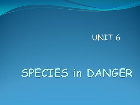 UNIT 6. Species in danger Name (n) ad (v) adlandırmak Can you name? Can you name animals? Can you name WILD animals? Can you name some WILD animals?