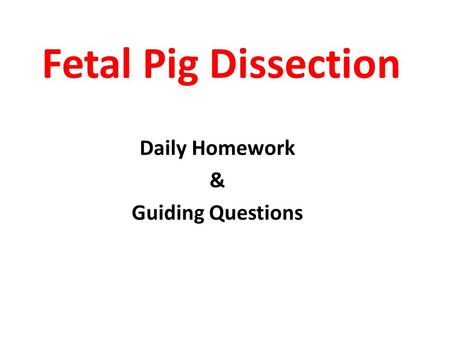 Daily Homework & Guiding Questions