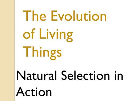 The Evolution of Living Things