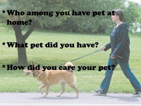 Who among you have pet at home?