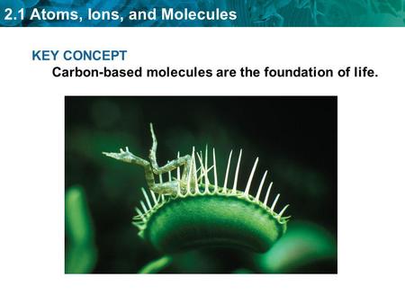 KEY CONCEPT Carbon-based molecules are the foundation of life.