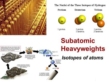 Subatomic Heavyweights