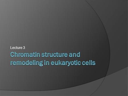 Lecture 3. Felsenfeld & Groudine, Nature 2003 H2A, H2B, H3 and H4.